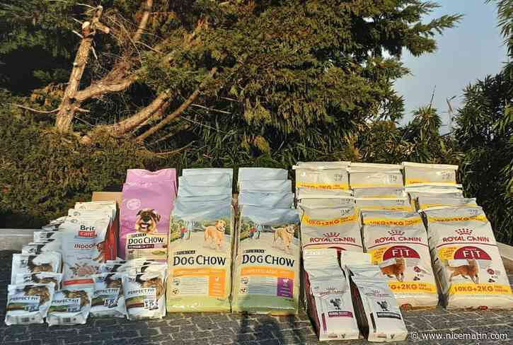 Cette Azuréenne a collecté des fonds en "moins de 6 heures" sur Instagram pour envoyer une demi-tonne de croquettes pour les animaux restés en Ukraine