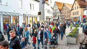 Corona-Protest in Nagold: Es hat schon eine gewisse Routine