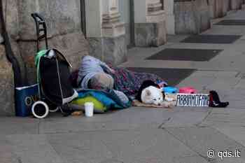 Catania, la Caritas provvede anche ai cani e ai gatti dei senzatetto - Quotidiano di Sicilia