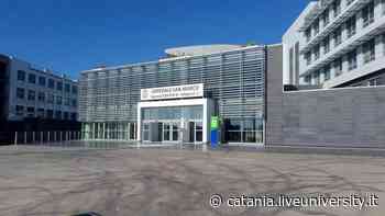 ASP Catania assume: i bandi disponibili - Liveunict | Magazine sull'Università di Catania