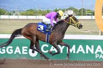 Tactical Nelson pilots Crimson home in 'Lindy' trophy - Jamaica Observer