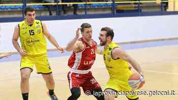 Vigevano, l’eliminazione brucia ma Procacci conforta Piazza - La Provincia Pavese