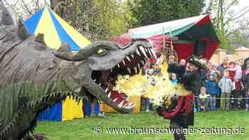 Mittelalter-Markt mit Rittern und Drache in Braunschweig - Braunschweiger Zeitung