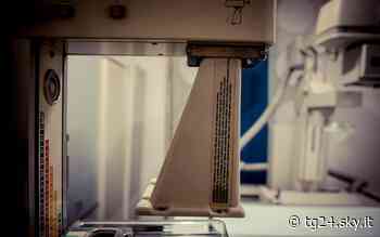 Sviluppato un software in grado di classificare la densità del seno - Sky Tg24