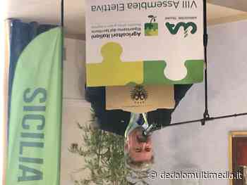 Enna – Graziano Sciardino nuovo presidente della Cia Sicilia - Dedalomultimedia