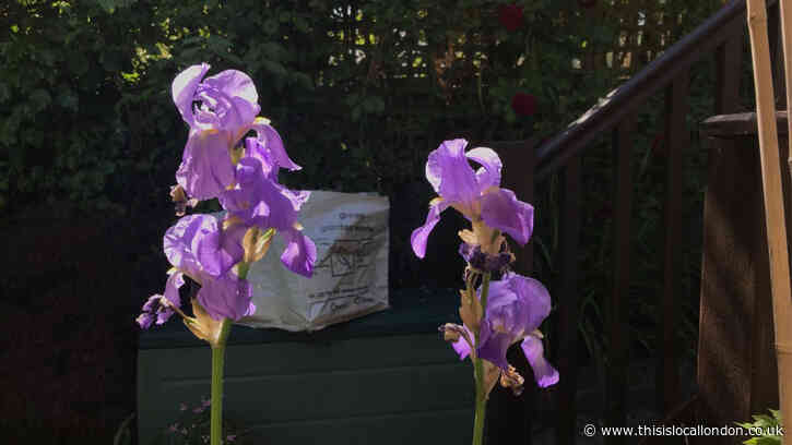 Tormented By A Tease Of Summer, Isabella Keane, St Michael’s