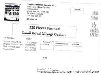 BC oysters recalled due to food poisoning scare - Squamish Chief