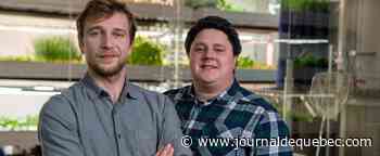 Vers une industrie de l'aquaponie au Québec