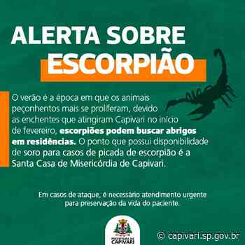 Secretaria de Saúde faz alerta sobre escorpiões - Prefeitura de Capivari (.gov)