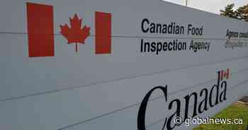 Bird flu found on second farm in southern Ontario: CFIA