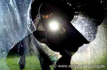 Vandalismus in Ostfildern - Unbekannte verwüsten Schule in Nellingen - esslinger-zeitung.de