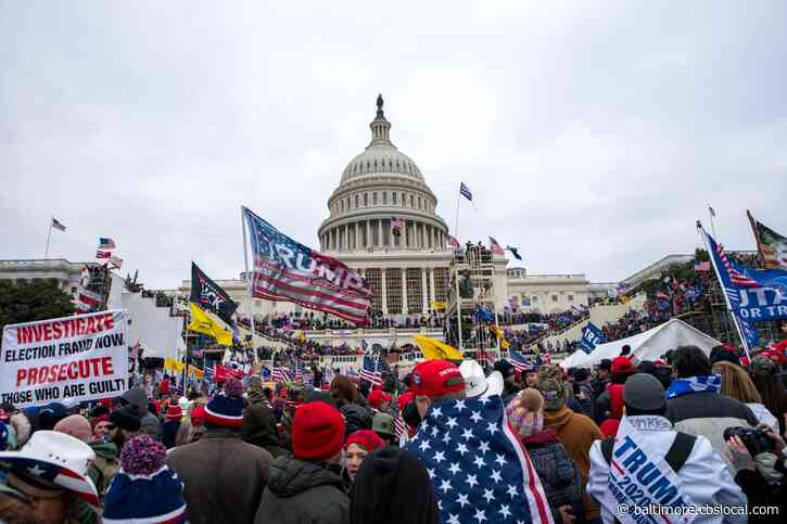Maryland Man Who Waved Confederate Flag On Lacrosse Stick Pleads Guilty In Capitol Riot