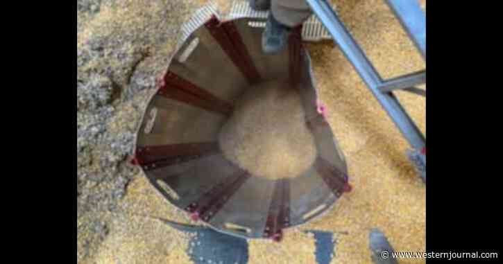 'Most Complex' Rescue First Responders Have Seen: Farmer Found Buried in Grain Bin up to His Mouth