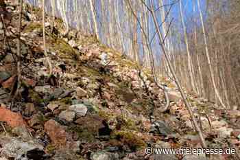 Schuttberg am Hirschstein: Kein Gefahrenverdacht - freiepresse.de