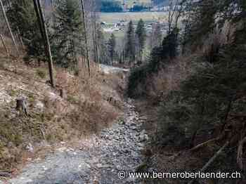 Verfahren in Reichenbach – Der Bauschutt muss weg - Berner Oberländer