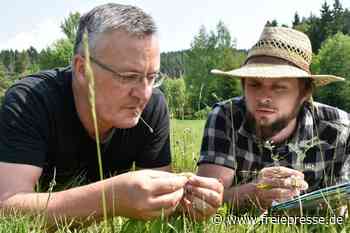 Mit Wiesen auf Tuchfühlung - freiepresse.de