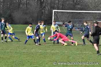 Pictures - Aylesbury Vale Dynamos' youth round-up - Bucks Herald