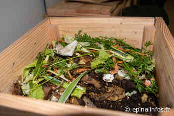 « Tous au compost ! » : ÉVODIA dévoile son programme d'animations - Epinal infos - Epinal Infos