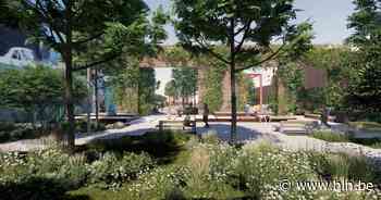 Plannen voor Klein Zennepark in Heyvaertwijk krijgen vorm: Brussel vraagt stedenbouwkundige vergunning aan - Het Laatste Nieuws