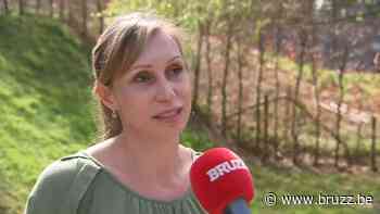 Gevaert over nieuwe atletiekpiste: 'Brussel nu kandidaat voor EK of zelfs WK atletiek' - BRUZZ