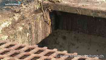 Tragödie in Oberkirch: Experte über die Gefahr von Güllenlöchern - Luzerner Zeitung