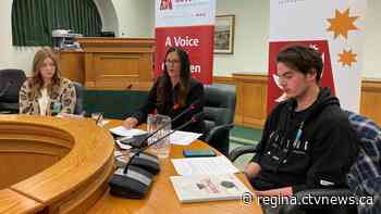 Sask. youth at 'crisis point' for accessing mental health services: Children's Advocate report