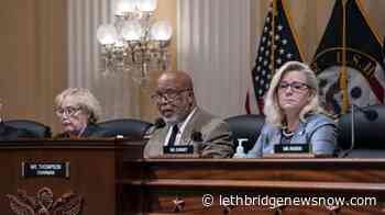 Jan. 6 committee votes to hold Scavino, Navarro in contempt - Lethbridge News Now