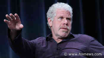 Actor Ron Perlman calls Florida Gov. DeSantis a 'Nazi piece of s***' over parental rights bill, gets blasted