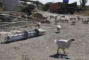 Un agriculteur russe témoigne: «Voir des chars dans les champs ukrainiens me fend le cœur» - Heidi.news