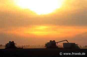 Odenwald-Tauber: Garanten für Ernährungssicherheit - Tauberbischofsheim - Nachrichten und Informationen - Fränkische Nachrichten