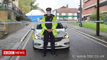 Brentwood: Man denies murdering two teenage boys