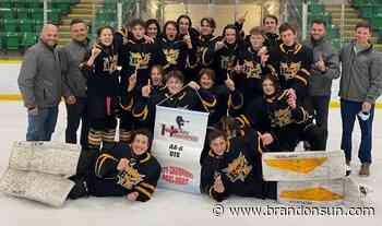 U15 AA squad earns more provincial gold - The Brandon Sun