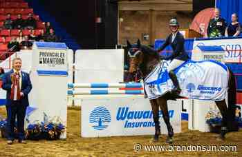 Albertans sweep first night of Gambler's Choice - The Brandon Sun