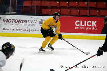 Ritchie excited to help Wheat Kings in playoff push - The Brandon Sun