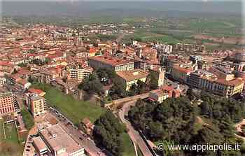 BENEVENTO, GIORGIONE SU NOTA BASILE: “SOLDI PER CURARE I PINI? DAGLI SPRECHI DEL SETTORE LEGALE” - Appia Polis