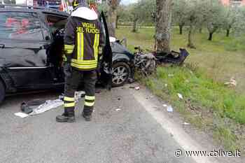 Schianto fatale contro un albero tra Benevento e San Giorgio del Sannio, perde la vita una 38enne originaria di Campobasso - CBlive - La città di Campobasso in diretta