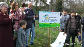 Benevento diventa la 'città delle api': in via Schipa inaugurato l'apiario urbano - NTR24