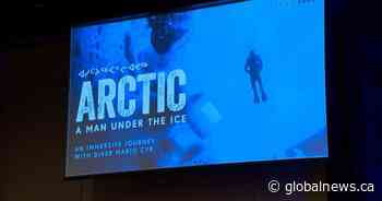 New immersive Arctic exhibit coming to Saskatoon in April