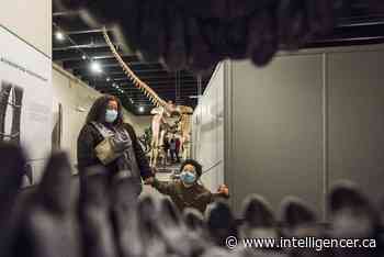 Quinte puts some of the skeletons in its closet on display - Belleville Intelligencer