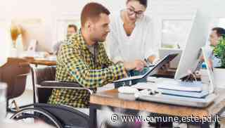 Bandi di concorso per vari profili - categorie protette - Comune di Este