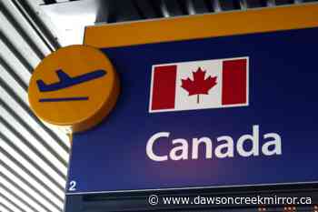 Many young new Canadians may be leaving the country: survey - Dawson Creek Mirror