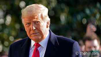 Trump urges Putin to release dirt on Hunter Biden