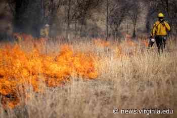 Burned Again: Landscape Architecture Students Torch Field to Restore Habitat - UVA Today