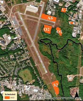 Prescribed burn coming to Concord airport to aid butterfly and ecosystems - Concord Monitor