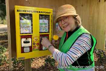 In Marl kommt das Futter für die Bienen jetzt aus dem Automaten - Marler Zeitung