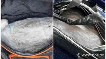 Wert von 25.000 Euro : Mit zwei Kilo Marihuana im Zug: Polizei fasst Drogenkurier in Bad Bentheim - NOZ