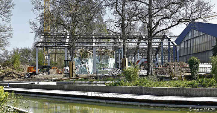 Amazonaslandschaft im Luisenpark:  Neues Heim für Kaiman, Boa und Leguane