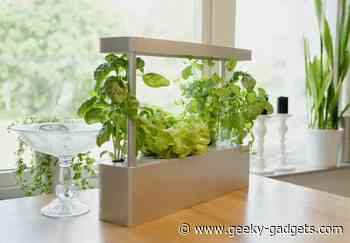 SeroOne hydroponic indoor garden