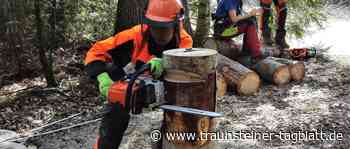 Waldarbeit will gelernt sein: Forstwettbewerb für zukünftige Landwirte im Bürgerwald - Traunsteiner Tagblatt