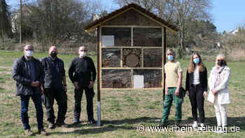 Neues Insektenhotel findet seinen Platz - Koblenz & Region - Rhein-Zeitung